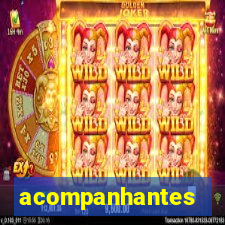 acompanhantes gordinhas santos